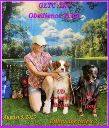AKC Obedience